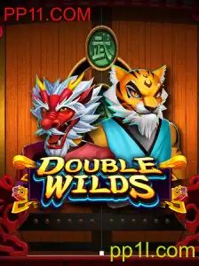 Explorando o Mundo de DoubleWilds: Um Guia Completo para Iniciantes